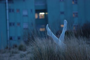 undine_stills_2